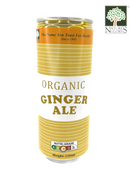 Organic Ginger Ale Nature's Glory 250ml (BB: May June 19,2026)