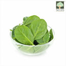 Baby Spinach Australia Organic (NA 8131P) in a Bowl