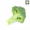 Broccoli Australia Organic (NA 8131P)