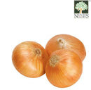 Brown Onion Australia  Organic (NA8131P)