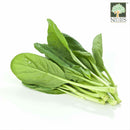 Cai Xin Hua/Choy Sum Local 1pkt