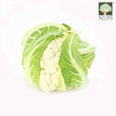 Cauliflower Australia Organic (NA 8131P)