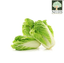 Chinese Cabbage/Wombok Thai Local 1pc