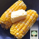 Sweet Corn Thai Local