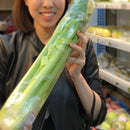 Celery with leaves Australia Organic (NA 8131P) - Size