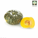 Japanese Pumpkin Australia Organic (NA 8131P)