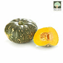 Japanese Pumpkin Australia Organic (NA 8131P) - View 1