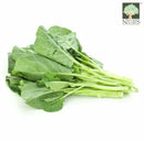Kailan Australia (Organically Grown) 1 pkt
