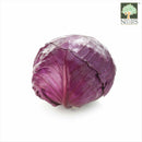 Red Cabbage Australia Organic (NA 8131P)