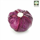 Red Cabbage Australia Organic (NA 8131P) - View 1
