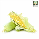 Sweet Corn Thai Local