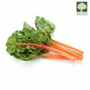 Swiss Chard Australia Organic (NA 8131P)