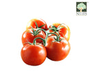 Tomato, Local Produce 1pkt