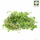 Watercress Australia 200gms OG