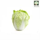 Chinese Green Cabbage Australia Organic (NA.8131P)