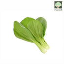 Pak Choy Green Australia Organic (NA.8131P)