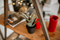 How to Take Aloe Vera as a Daily Supplement
