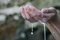 Castile Soap - Why You Should Use It and How Does It Work?
