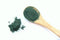 Chlorella versus Spirulina Benefits: Which Is Better?