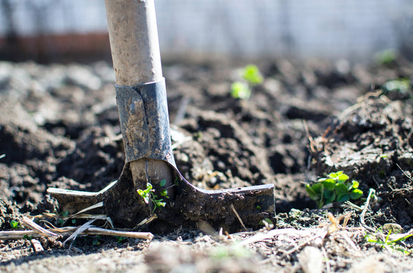 Environmental Benefits of Organic Farming