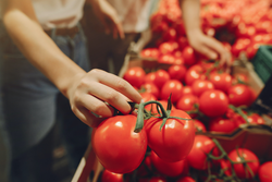 Organic Food in Singapore: The Way Forward To Healthy Living!