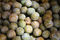 Plum Balls Health Benefits