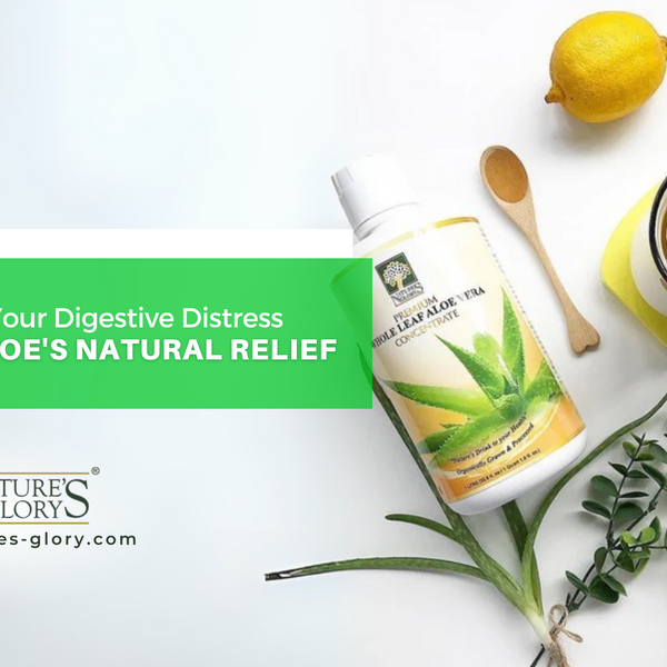 Destress Your Digestive Distress with Aloe's Natural Relief  Nature's Glory