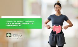 best probiotics for gut health