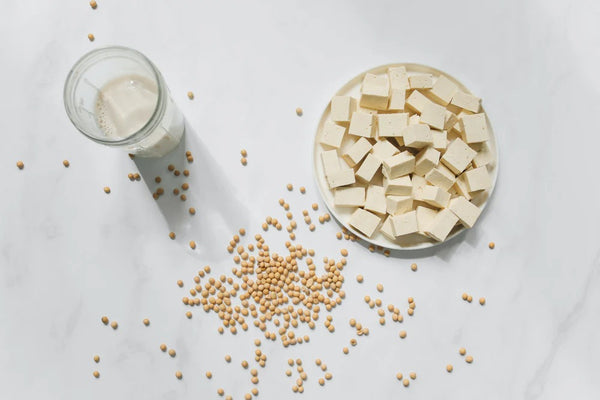 Lactose Free Milk