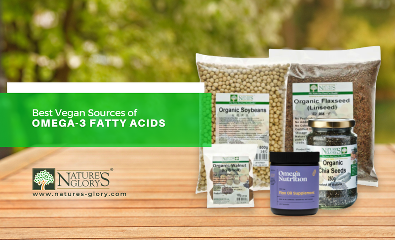 Best Vegan Sources of Omega-3 Fatty Acids