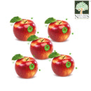 Apple Juliet France (Certified Organic At Farm) 1 pkt