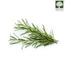 Rosemary Australia Organic (NA 8131P)