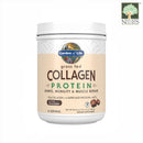 Grass Fed Collagen Protein Chocolate Powder 588g