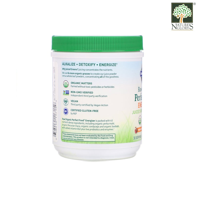 Garden of Life Raw Organic Perfect Food Energizer Yerba Mate Pomegranate 276 g