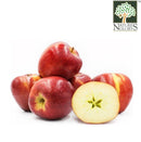 Apple Candine Organic France (Certified Organic At Farm) 1pkt