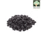 Black Turtle Bean (Eden) Nature's Glory Organic 