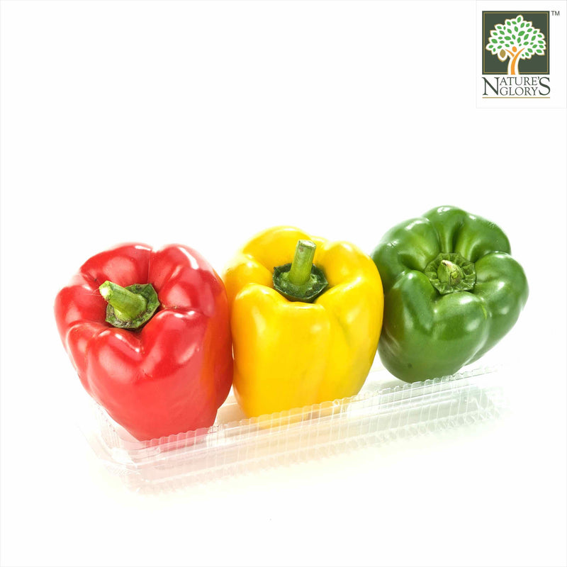 Capsicum Packet Capsicum Organic (1 box 2-3 pc) - Nature's Glory Singapore