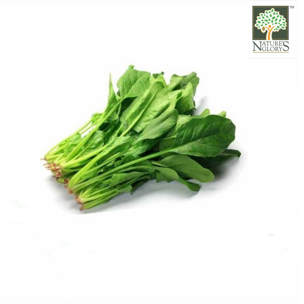 Spinach English Local 1pkt – Nature's Glory