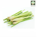 Lemongrass Thai (Pesticide Free) 1pkt