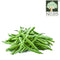 French Bean Thai (Certified Organic At Farm)