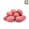 Potato (Desiree) Australia (Certified Organic At Farm)