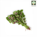 Spinach (Red) Local