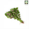 Spinach (Red) Local