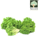 Lettuce Local 1pkt