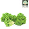 Lettuce Local 1pkt