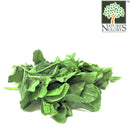 Spinach Thai (Certified Organic At Farm) 1pkt