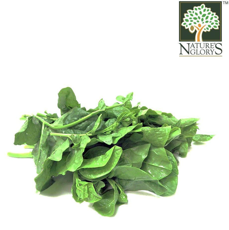 Spinach Thai (Certified Organic At Farm) 1pkt
