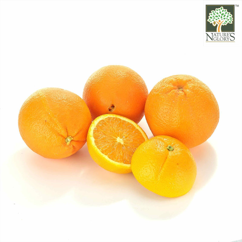 Orange (Navel) Australia Organic (NA 8131P) - View 2