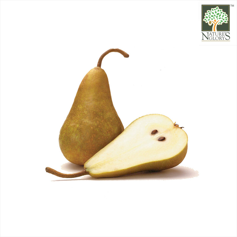 Pear(Brown)Bosc Aust