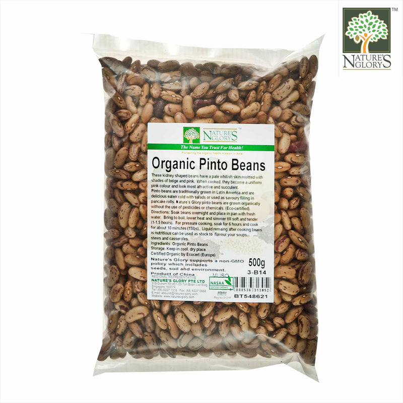Pinto Bean Nature's Glory Organic 500g